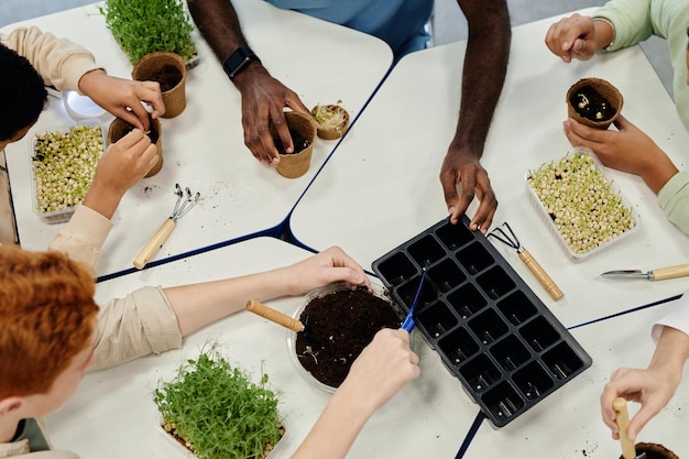 Foto vista superior de cerca de los niños plantando semillas mientras experimentan en la clase de biología en la escuela