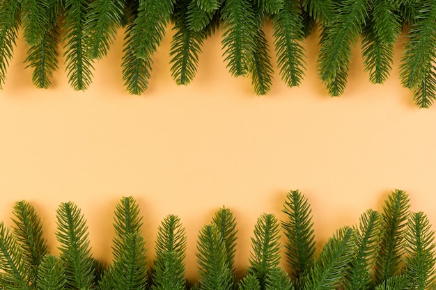 Vista superior de colorido hecho de ramas de abeto verde.