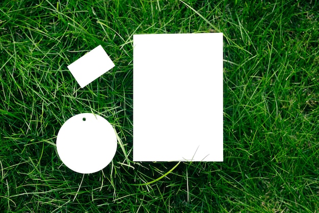 Foto vista superior com etiquetas vazias de papelão branco de maquete de formas diferentes de grama verde com etiqueta para logotipo.
