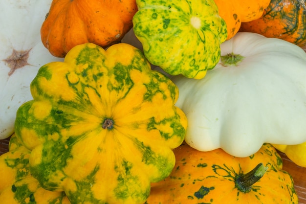 Vista superior de la composición de otoño de primer plano de calabaza multicolor