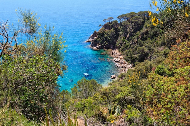 Vista superior de la costa rocosa del mar de verano con árboles florecientes y destellos soleados en la superficie del agua (España).