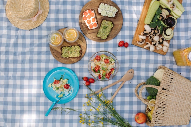 Vista superior da cesta de piquenique com sanduíches veganos saudáveis no cobertor xadrez azul no parque Legumes de frutas frescas e suco de laranja Conceito de piquenique vegano
