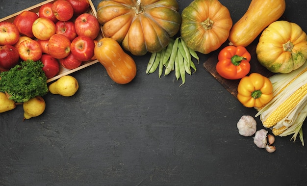 Vista superior da composição vegetal com abóboras e maçãs na superfície preta