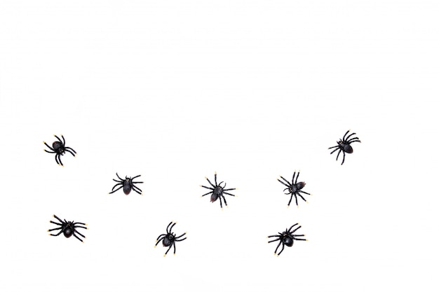 Vista superior da decoração de Halloween com bastões de plástico. Festa, convite, decoração de halloween