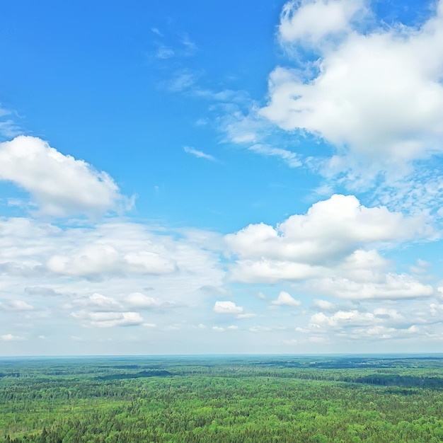 vista superior da floresta de verão drone, paisagem de panorama de árvores verdes de fundo