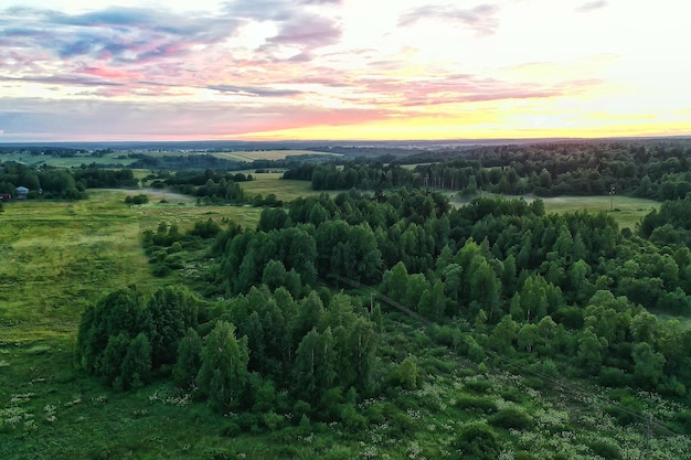 Vista superior da floresta de verão drone, paisagem de panorama de árvores verdes de fundo