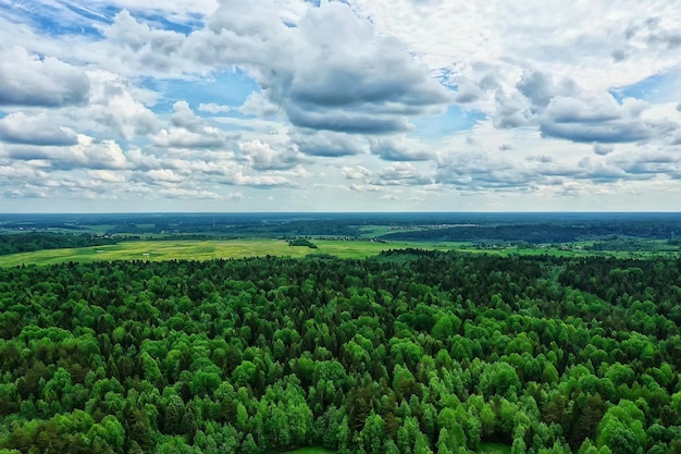 vista superior da floresta de verão drone, paisagem de panorama de árvores verdes de fundo