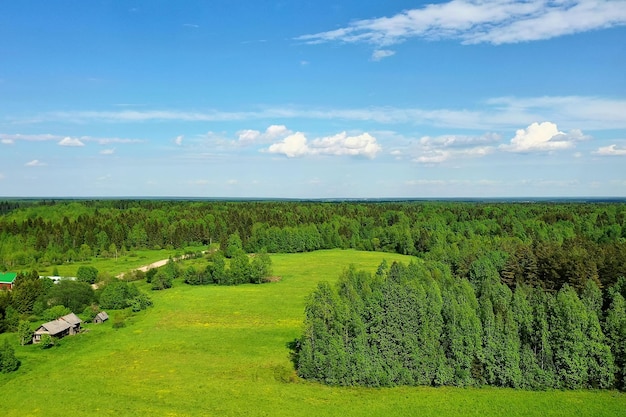 Vista superior da floresta, vista panorâmica da paisagem da floresta de verão com vista aérea quadrocopter