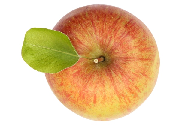 Vista superior da fruta maçã isolada no branco
