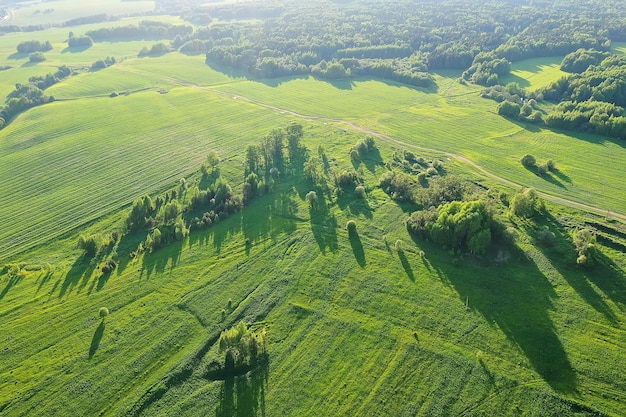 Vista superior da grama verde, fundo abstrato do campo da natureza