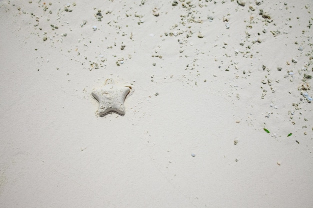 Vista superior da praia de areia branca com forma de estrela do mar