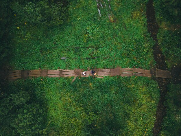 Vista superior da trilha no conceito de caminhada na floresta