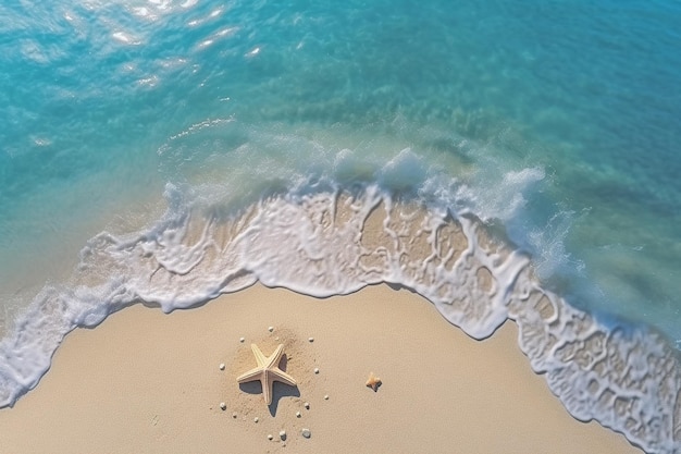 Vista superior das férias de verão na praia Com fundo de água do mar azul e estrelas-do-mar