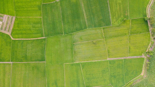 Vista superior de fundo de campos com vários tipos de agricultura na Tailândia rural SamChuk, SuphanBur