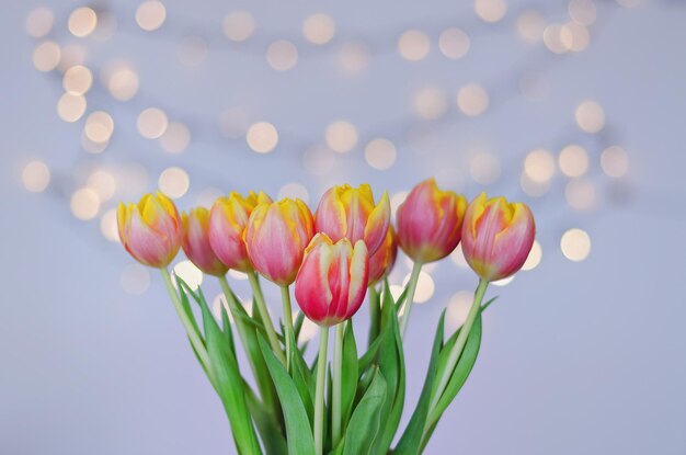 Vista superior de lindas tulipas cor de rosa, amarelas sobre fundo azul com bokeh. cartão de saudação. 8 de março.