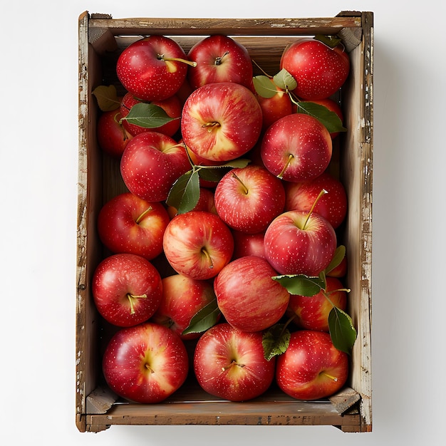Vista superior de maçãs vermelhas em caixa de madeira em fundo branco