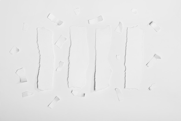 Vista superior de papéis de nota brancos vazios rasgados e pequenos pedaços isolados em branco