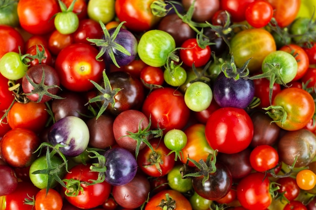 Vista superior de um conjunto colorido de tomates cereja