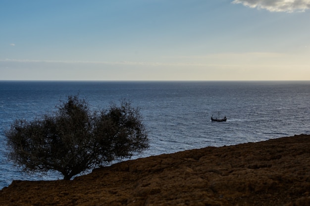 Vista superior de um pequeno vaso com fundo do mar