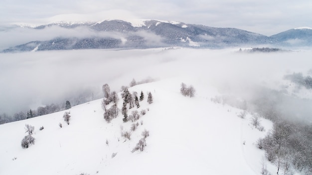 Vista superior de uma bela paisagem hipnotizante de montanhas nevadas e colinas com árvores e névoa em um dia nublado e frio de inverno