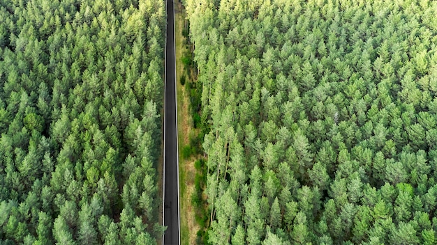 Vista superior de uma estrada rodovia no meio da floresta