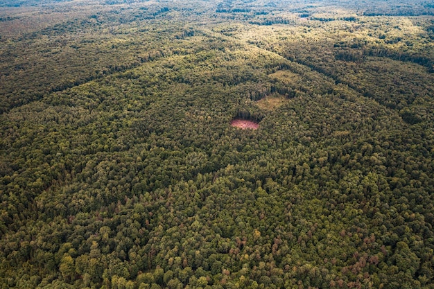 Vista superior de deforestación por tala ilegal total