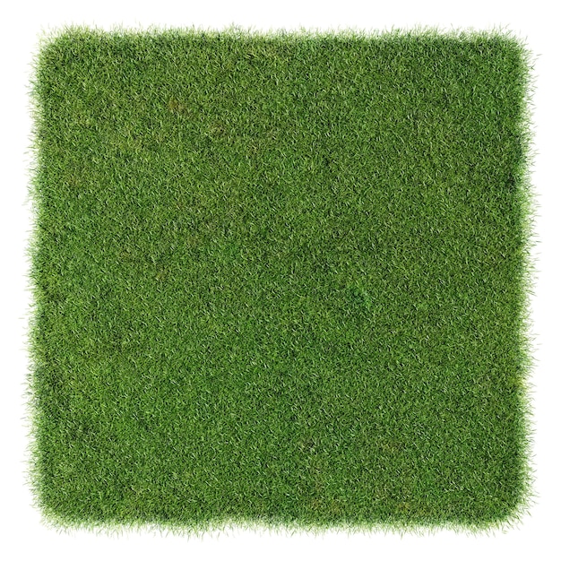 Foto vista superior do campo de grama no fundo branco com renderização de ilustração 3d do traçado de recorte