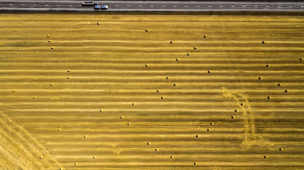 Vista superior do campo de trigo segado amarelo