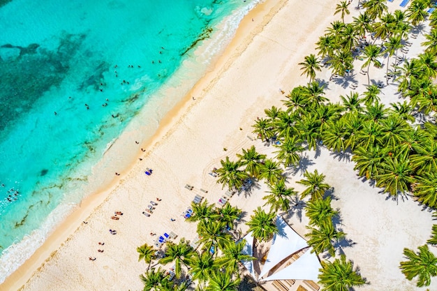 Vista superior do drone aéreo da bela praia com água do mar turquesa, pessoas e palmeiras. Ilha de Saona, República Dominicana. Fundo de natureza de ilha tropical paradisíaca.