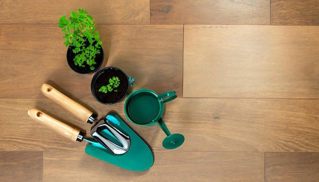 Vista superior do Green Thumb Essentials das ferramentas de jardinagem no piso de madeira Prepare-se para cultivar