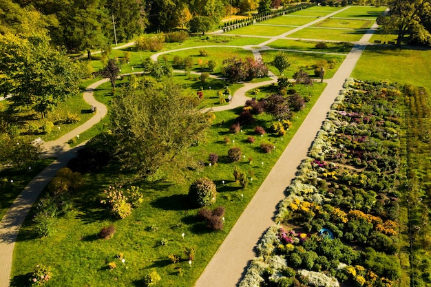 Vista superior do outono Minsk Botanical Garden Bielorrússia