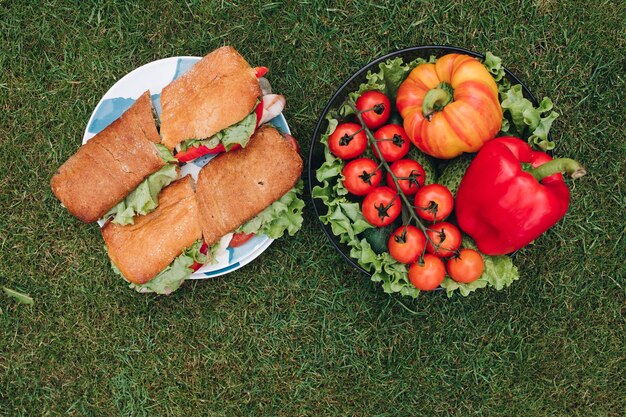 Vista superior do prato de saborosos sanduíches caseiros feitos de pão caseiro e legumes frescos. Tigela de vegetais ecológicos saudáveis na grama.