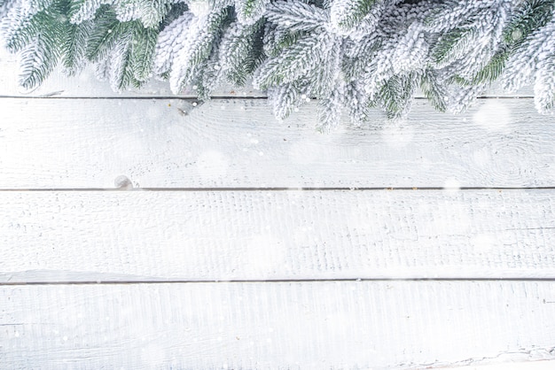 Vista superior dos galhos da árvore de natal com neve