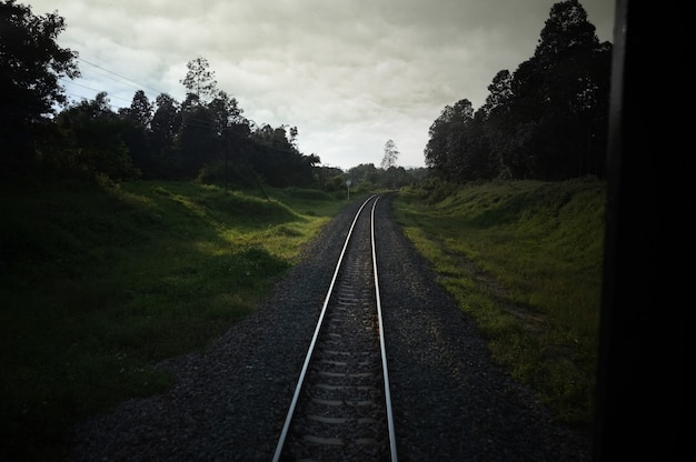 Vista superior dos trilhos enferrujados, cruzando o campo verde em um dia de verão