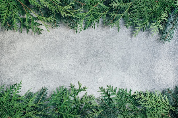 vista superior em fundo cinza com galhos de uma árvore de Natal