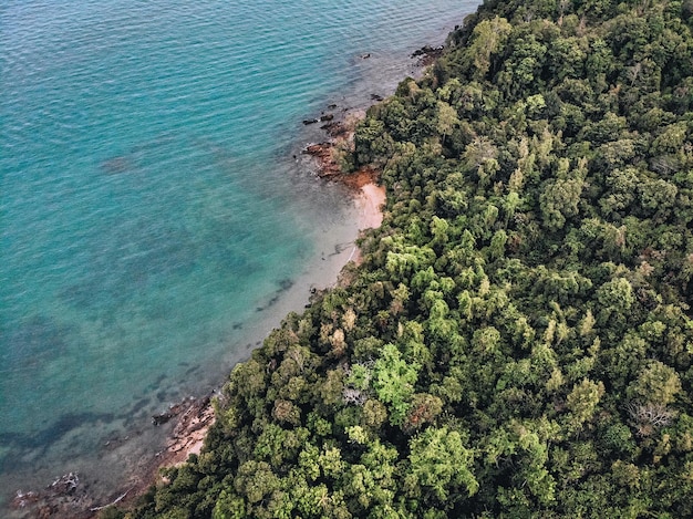 Vista superior de una espaciosa playa de una isla desierta, cubierta de un denso bosque con muchos árboles verdes, mar profundo y vida salvaje