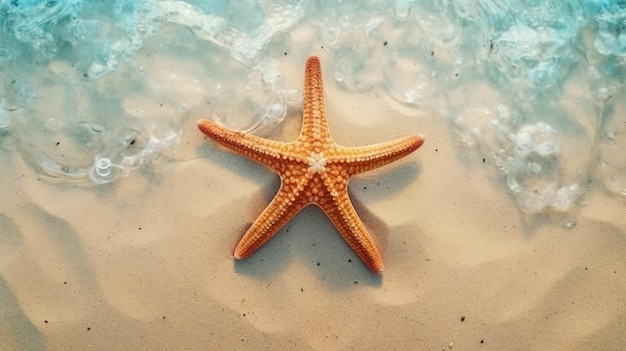 vista superior de estrellas de mar en el fondo de la playa de arena