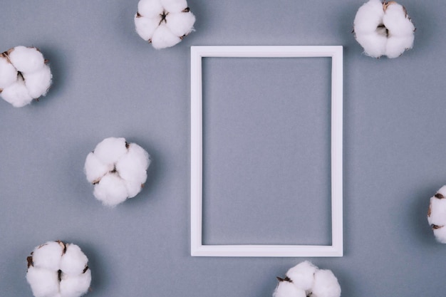 Foto vista superior de las flores de algodón secas y el marco blanco sobre un fondo gris acogedor.