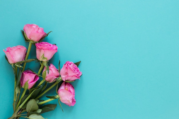 Vista superior de flores rosas aisladas sobre fondo azul copia espacio