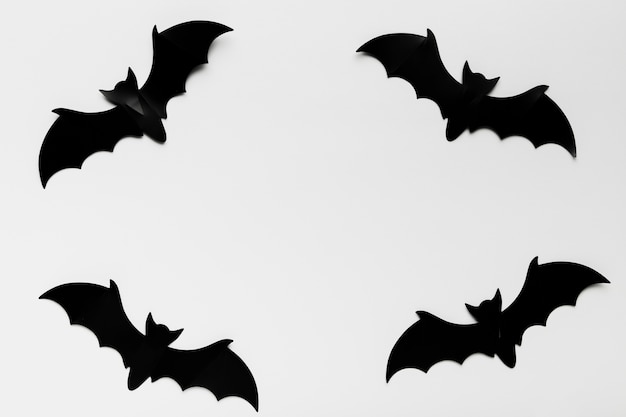 Foto vista superior formas de morcego com cópia-espaço
