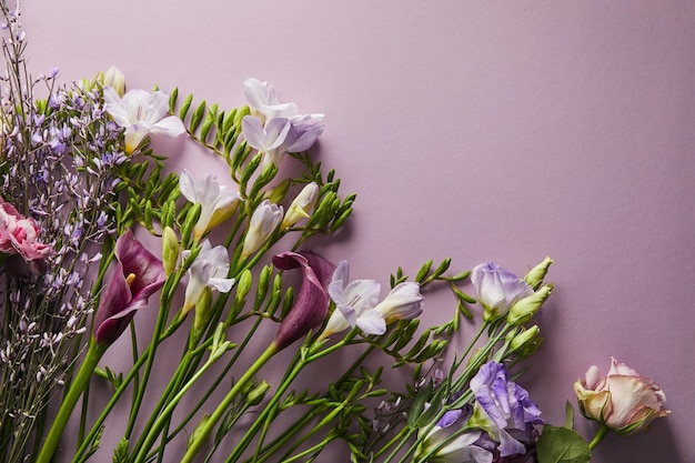 Vista superior de hermosas flores sobre fondo violeta con espacio de copia