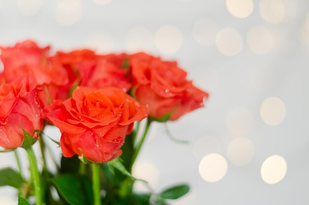 Vista superior del hermoso ramo de rosas rojas sobre fondo blanco con bokeh. Tarjeta de felicitación. 8 de marzo.