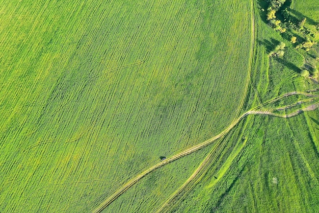 vista superior de hierba verde, fondo de campo de naturaleza abstracta