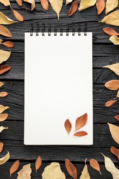 Foto vista superior de hojas de otoño con cuaderno