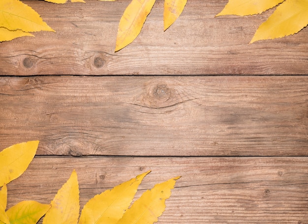 Vista superior de las hojas de otoño sobre fondo con textura de madera horizontalmente. Espacio para texto en el centro