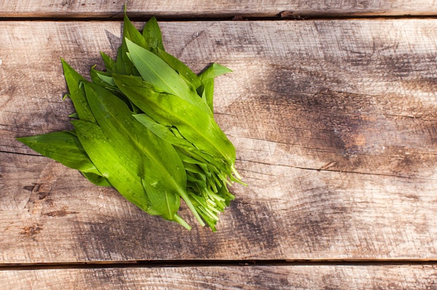 Vista superior de hojas verdes de puerro de oso recogido en un bosque para usar como ingrediente para una ensalada o merienda saludable Deliciosa planta silvestre picante para usar en las comidas diarias para llenar la falta de vitaminas Superficie de madera