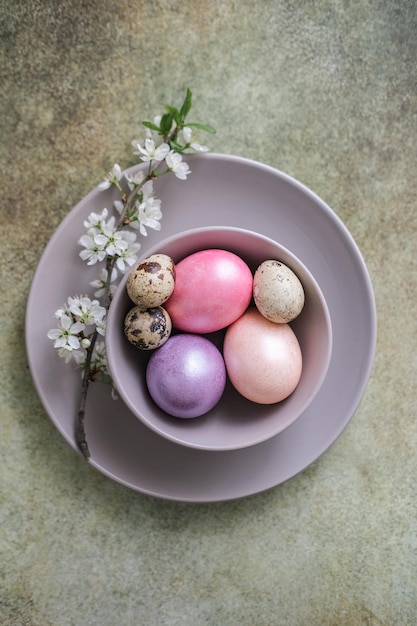 Vista superior de huevos de Pascua de colores pastel en un plato con una rama en flor idea de servicio de Pascua