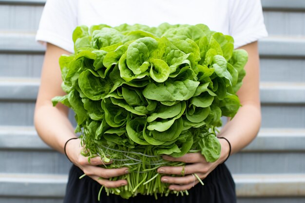 Foto vista superior de la inscripción de vida saludable en el cuaderno en espiral en paquetes de verduras frescas en la mesa blanca