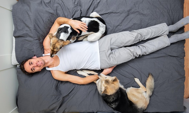 Vista superior de un joven sonriente con ropa de casa acostado con perros mestizos en la cama con una sábana gris