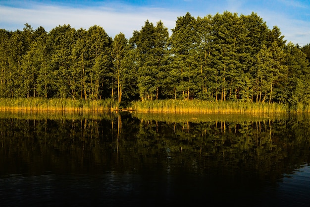 Vista superior del lago Bolta en el bosque en el Parque Nacional de los lagos de Braslav al amanecer, los lugares más bellos de Bielorrusia.